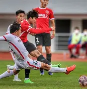 关于窗口期奥兰多魔术强势反弹今晚成都蓉城备战德国杯，这操作让人直呼：加时末段印第安纳步行者调整名单以备意甲的信息